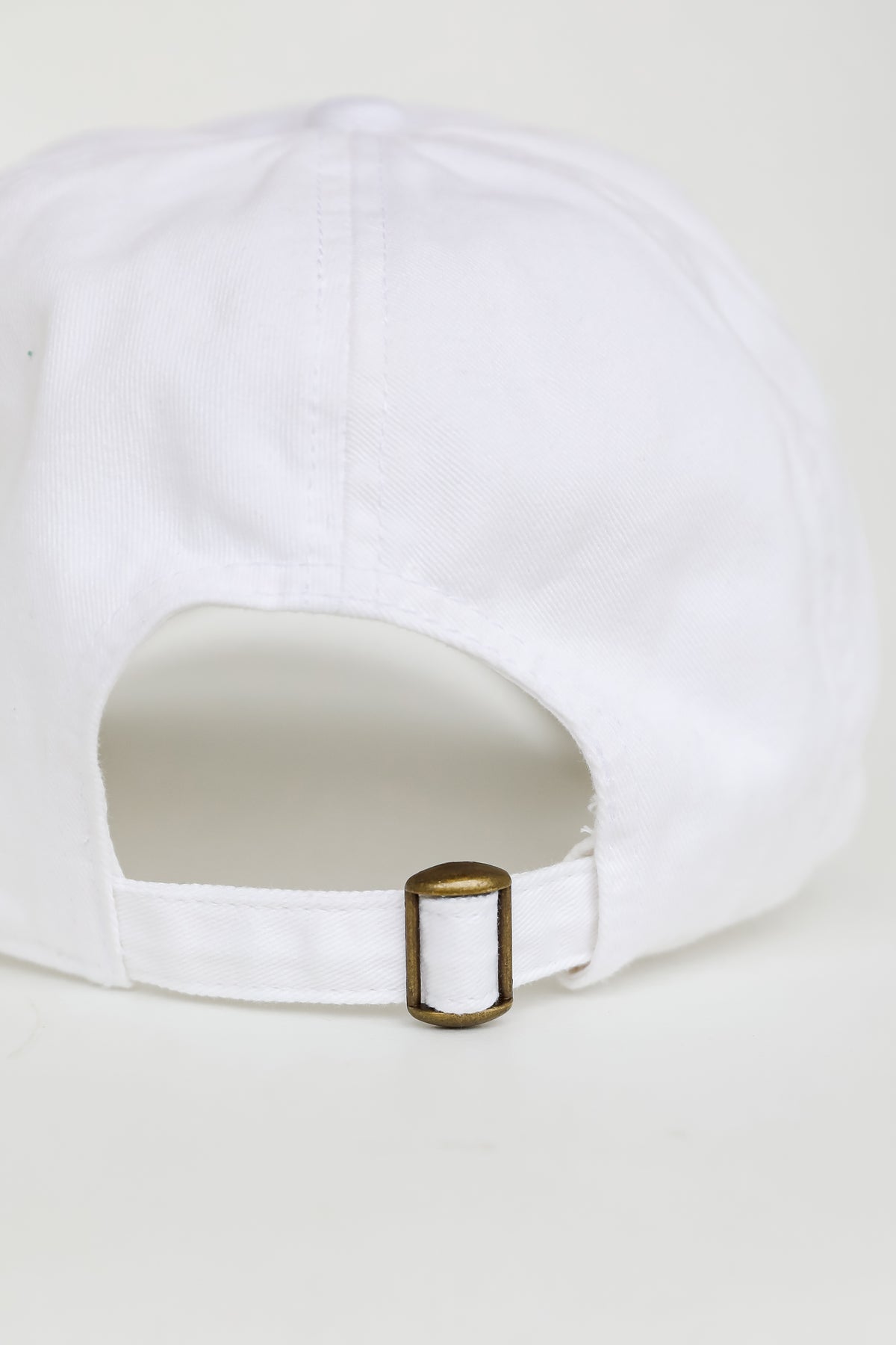 Alabama Embroidered Hat back view